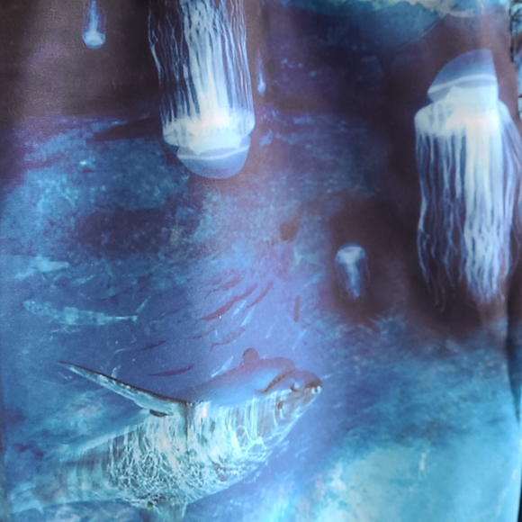 Boys Swim Trunks - Picture 3 of 8